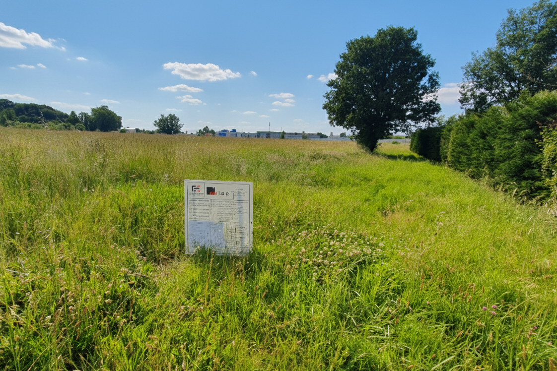 Gemini_Generated_Image_ocsv7iocsv7iocsv